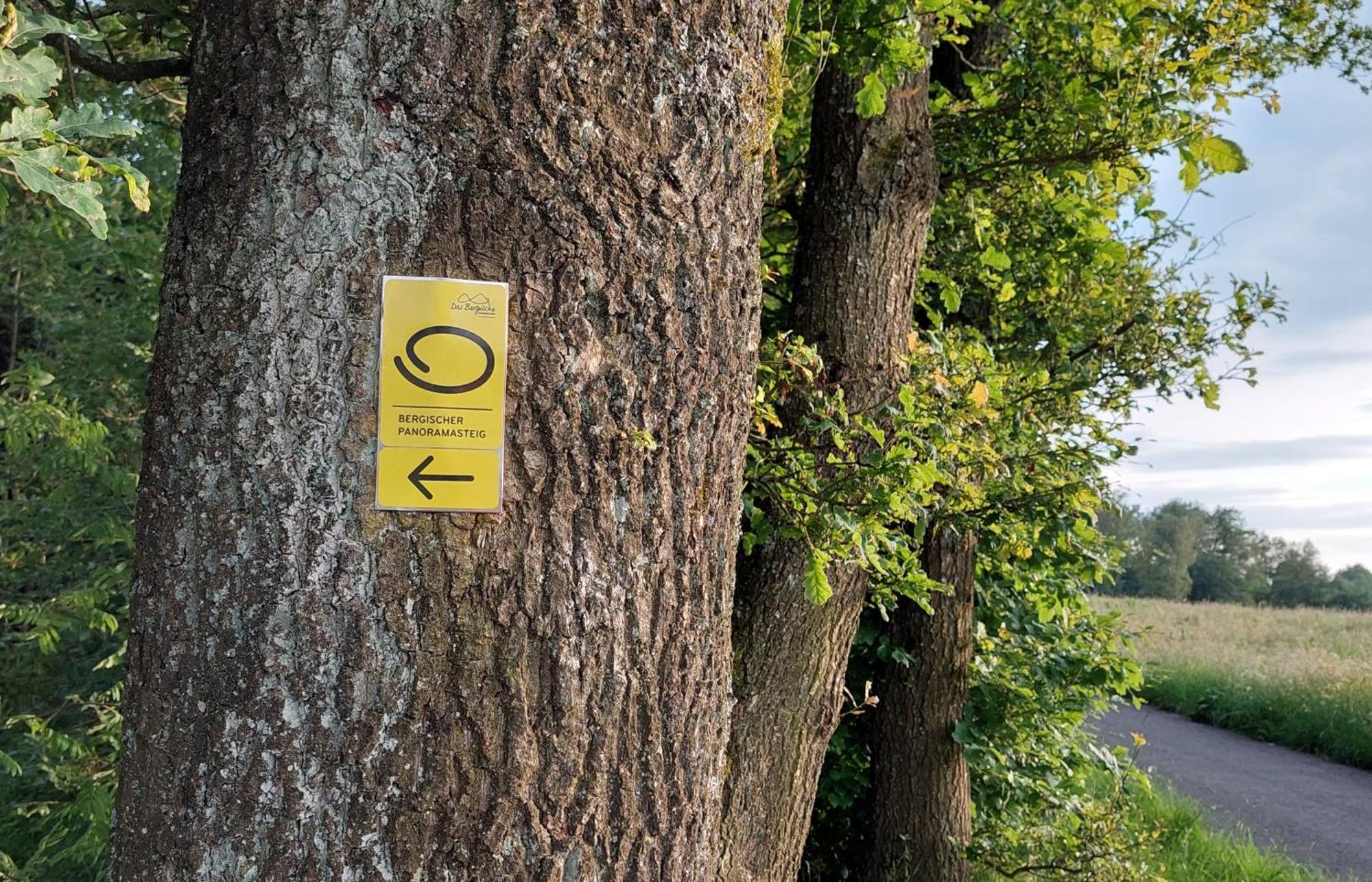 Ferienwohnung Waldbroel - Nahe Naturerlebnispark Waldbrol Zewnętrze zdjęcie