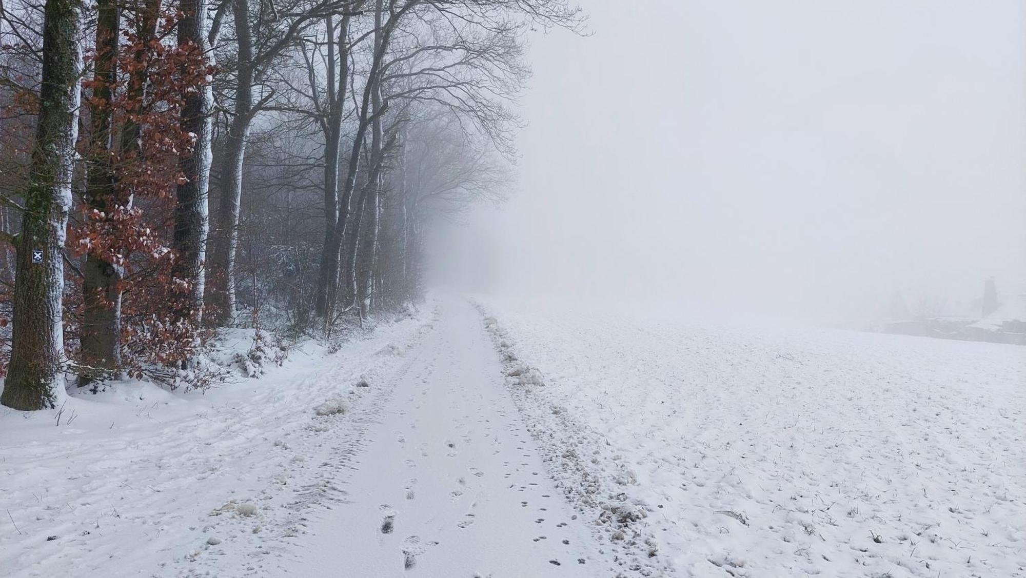 Ferienwohnung Waldbroel - Nahe Naturerlebnispark Waldbrol Zewnętrze zdjęcie